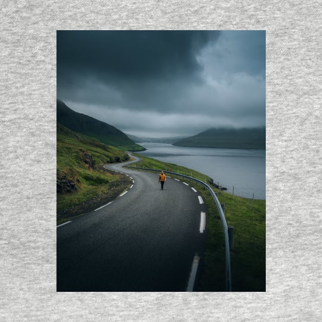 Faroe Islands Road by withluke